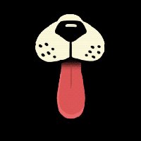 团队准备再次壮大 再次收徒 男女不限 有愿意一