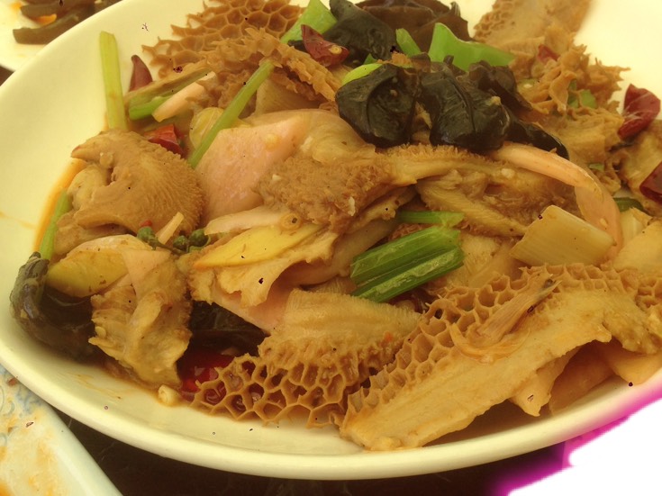 陕西特色菜:酸辣肚片儿 王*少的快手