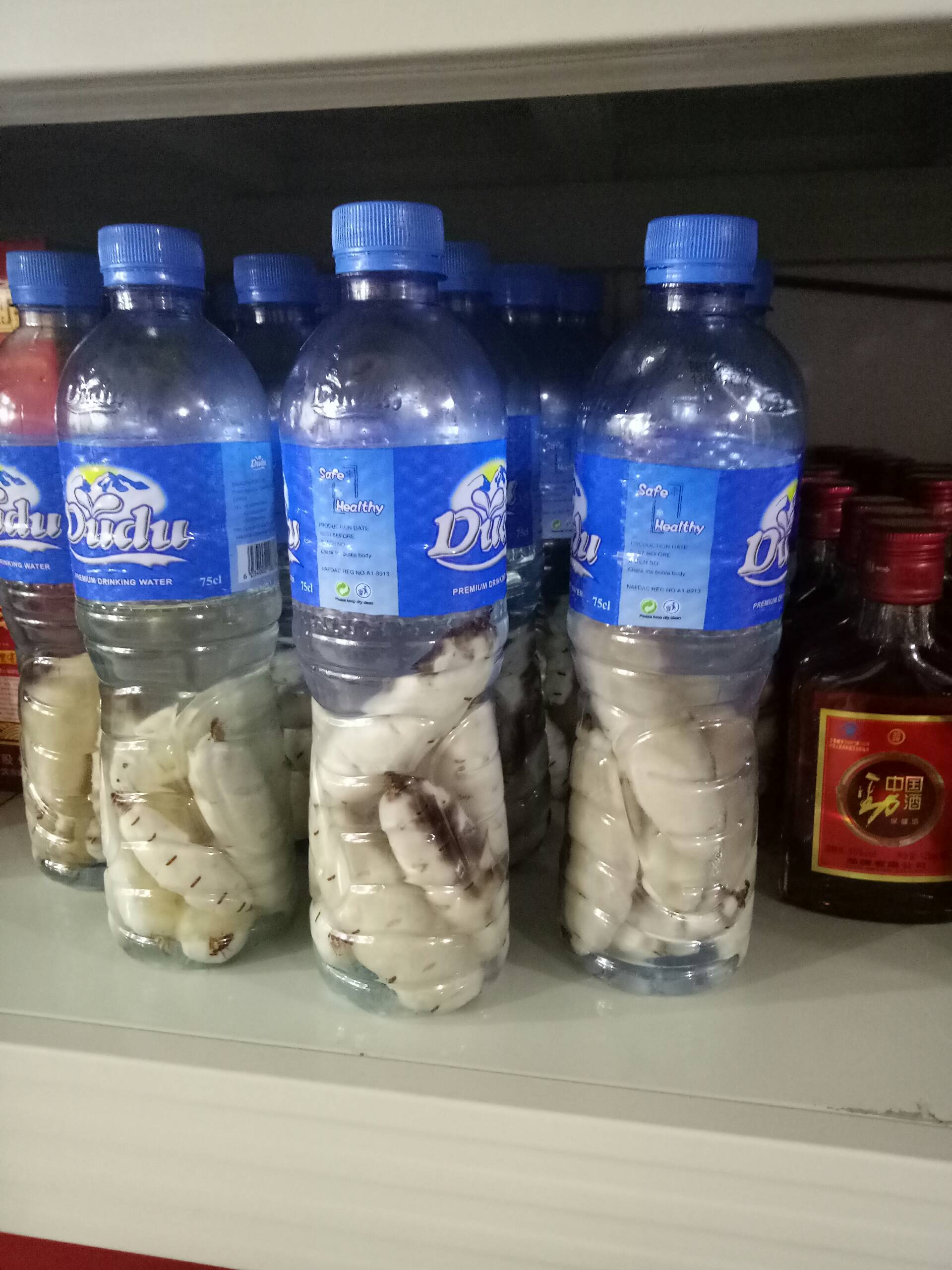 非洲大白蚂蚁王治疗风湿关节炎 阳光奋斗ubijcg3e的快手