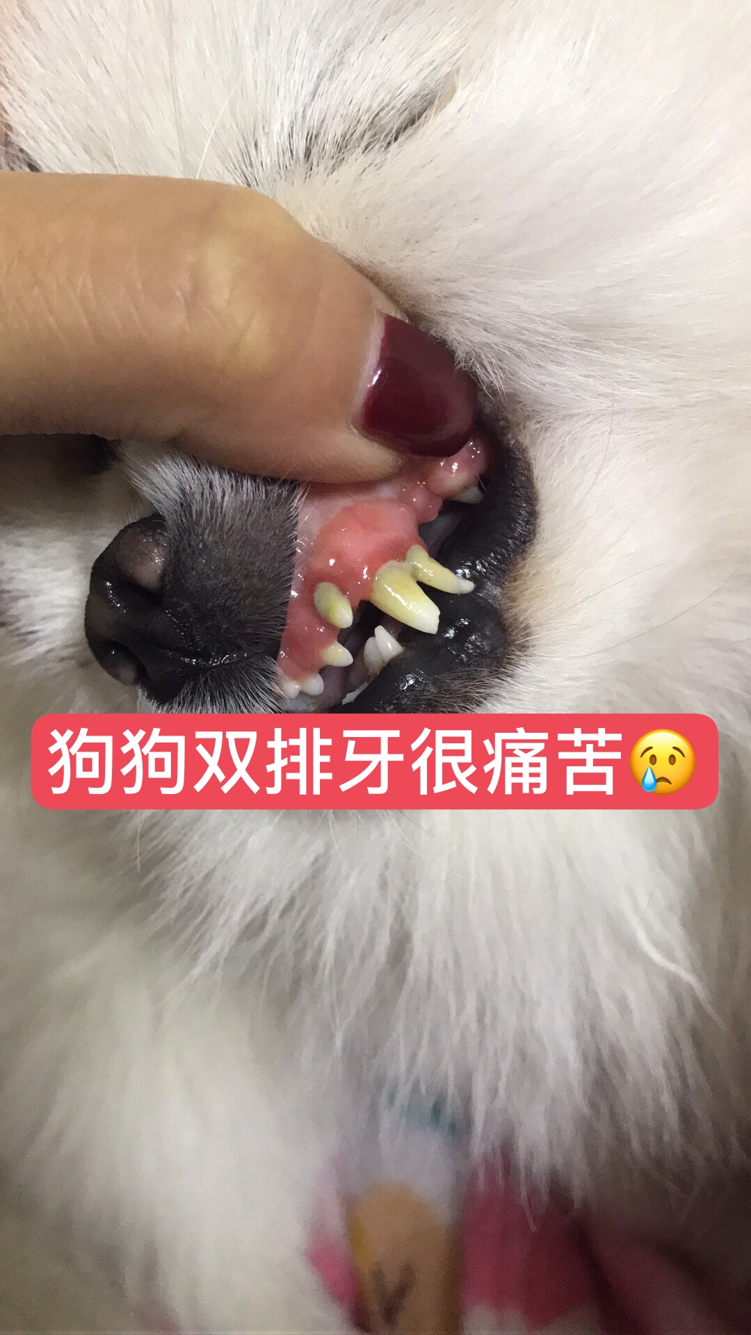 BMjAxNzA5MjkxMDE0MDlfNTA0OTY1MTlfMzM3NjI1NDMxN18xXzY=.jpg