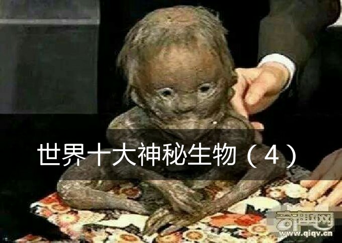 0k 0 河童是水鬼 3月前 好喜欢独角兽 回复 (画掉的大坏蛋):嗯 回复