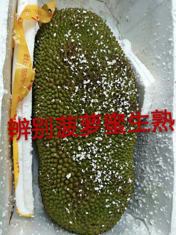 图集向左滑动可以看下一张 做了一个辨别菠萝蜜生熟的