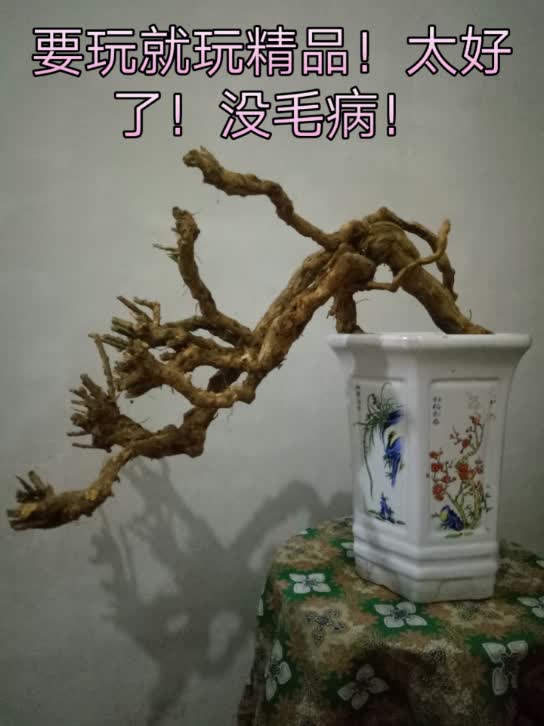 精品大悬崖! - 艺园阁的快手