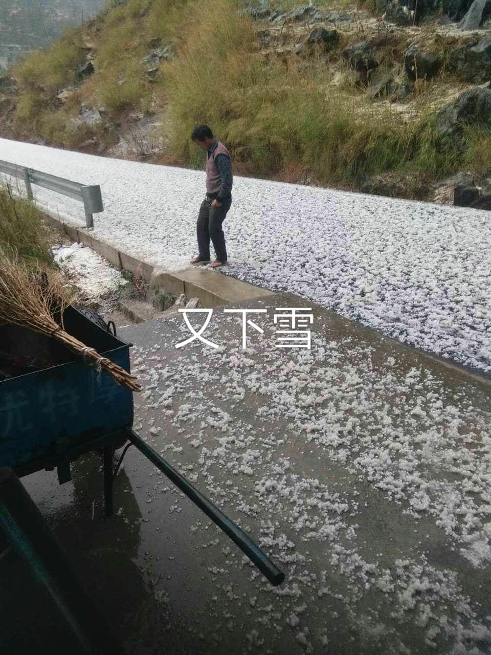 下白雨了 铺满了地 今年的庄稼又没了 70敏儿71姐的快手