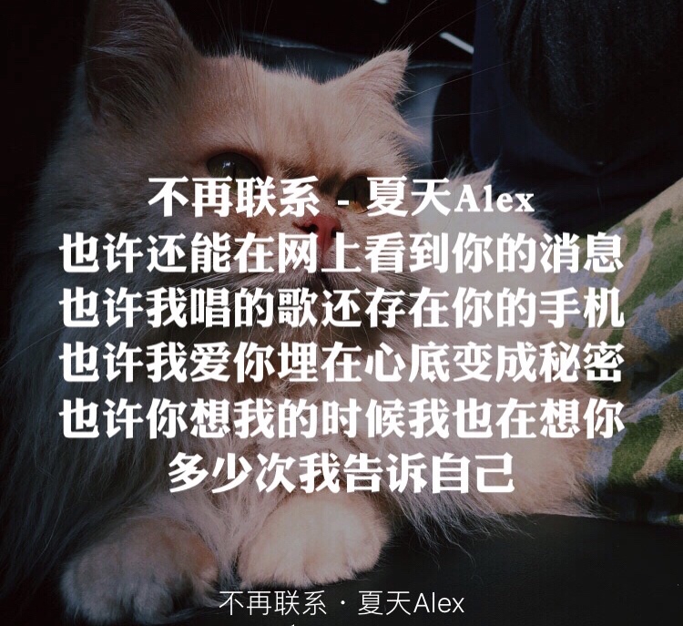网络热歌分享