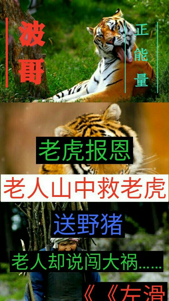 妙音大波哥《正能量文字》