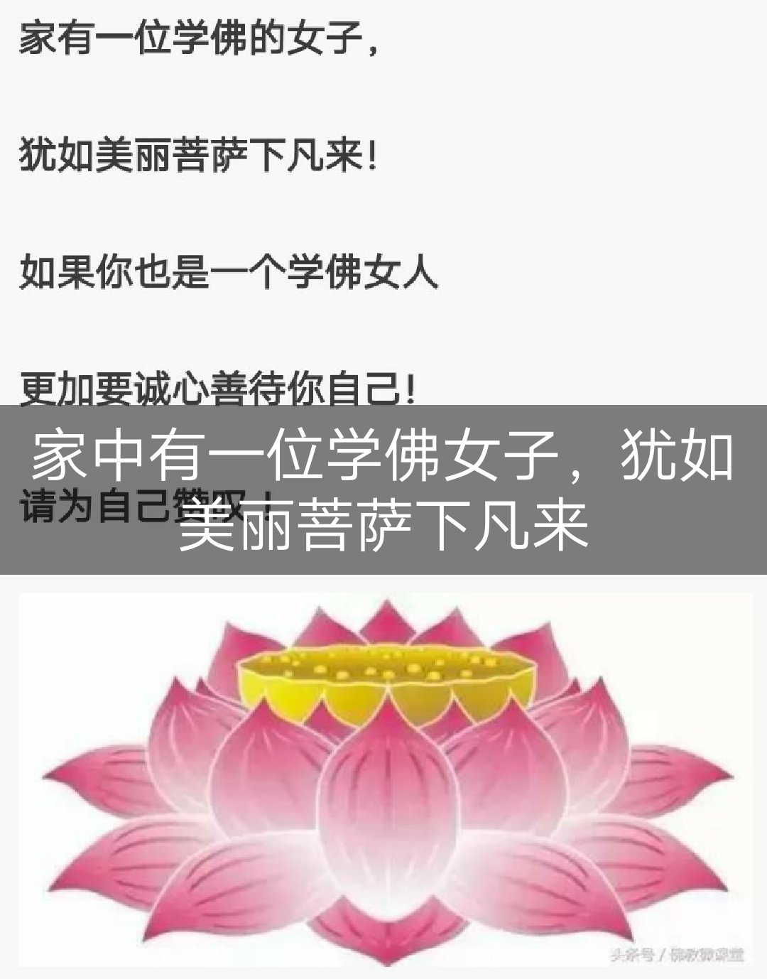 南无阿弥陀佛,随喜赞叹 - 静9415悟的快手