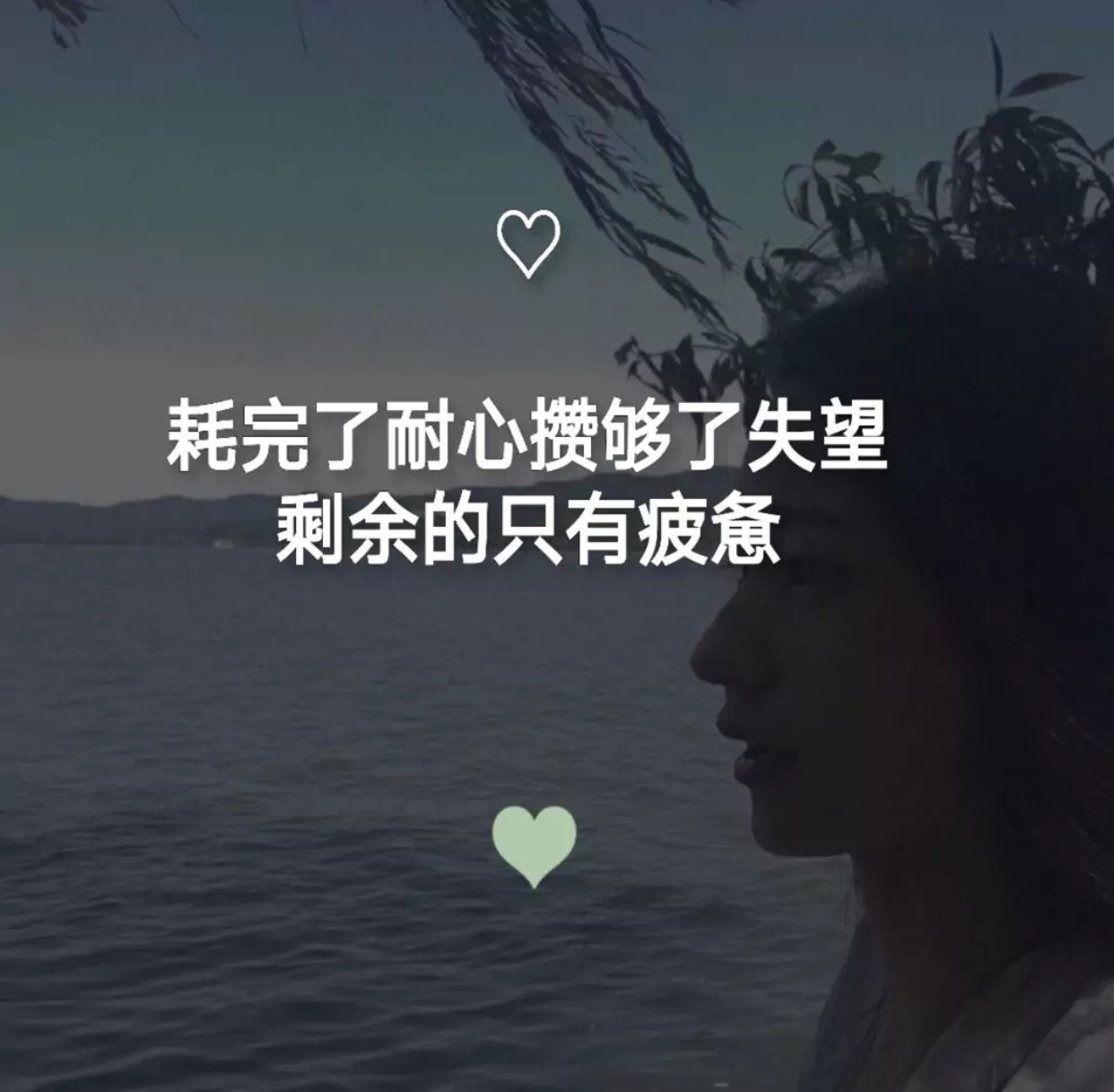 离开我以后你应该很快乐吧92 - 吴迪的盼盼(wd大队)