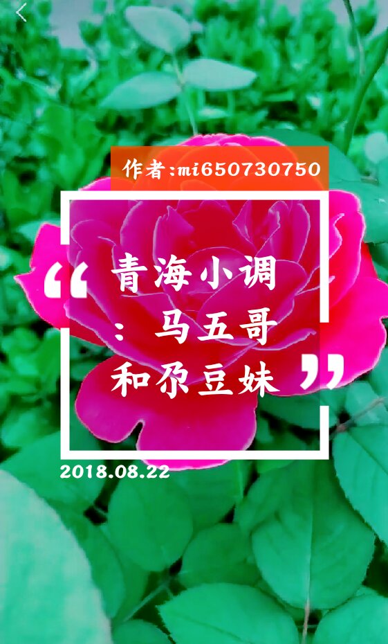 青海小调"马五哥和尕豆妹"歌词加伴奏,喜欢的朋友们一起双击评论加