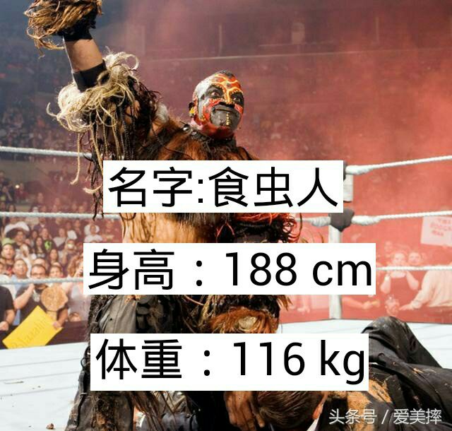 wwe捍卫者 罗曼大帝(o144546717@wwe赛斯无敌(o1063538920@wwe