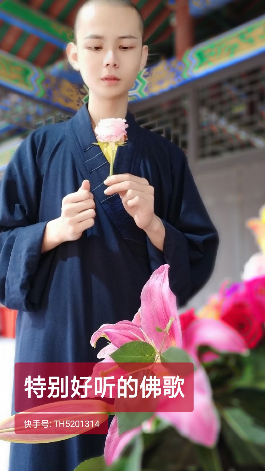 莲花2841614天前 感觉是被情所伤,出家为什么不想想父母, 花真好 17