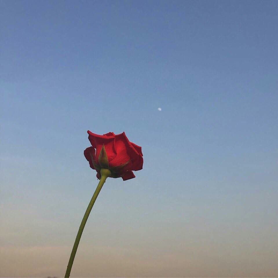 93jarico-fierysky(bassboosted) 有谁还记得骚痞这个名字