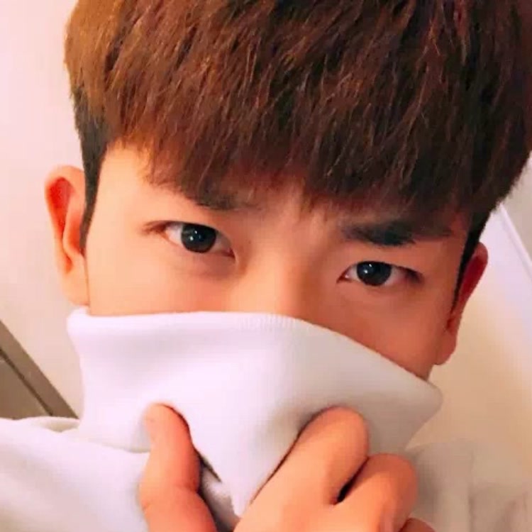 叫我鑫哥就行.(xinge666)-视频作品-快手-优传数据