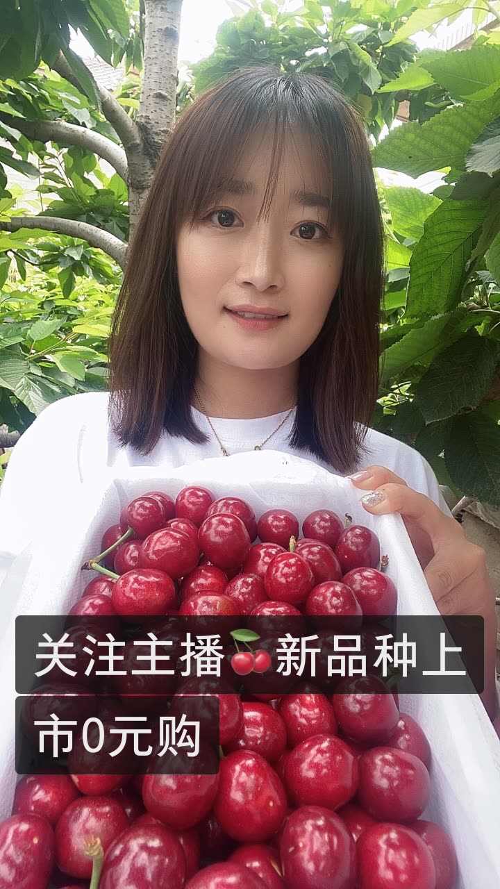 大连樱桃女神的快手直播