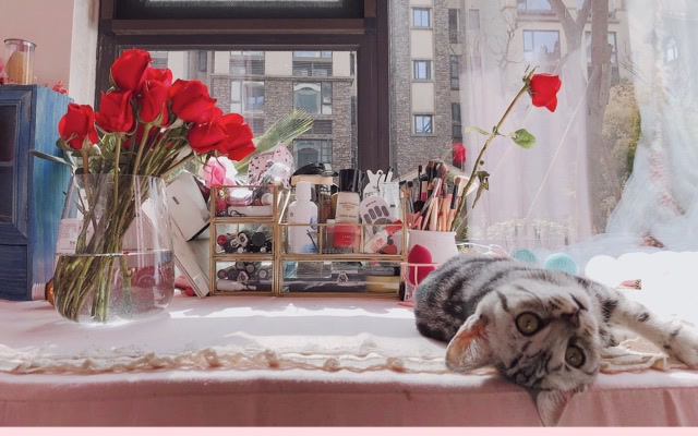 雪狗巴扎嘿的快手主页