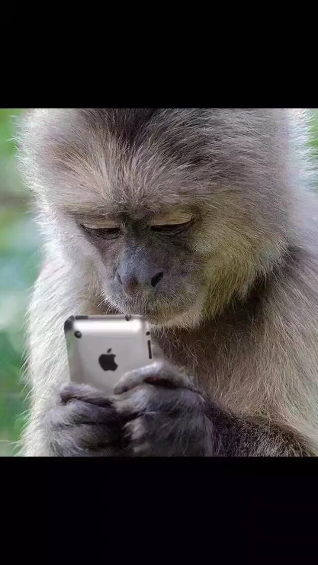 人来人往.9idrutem