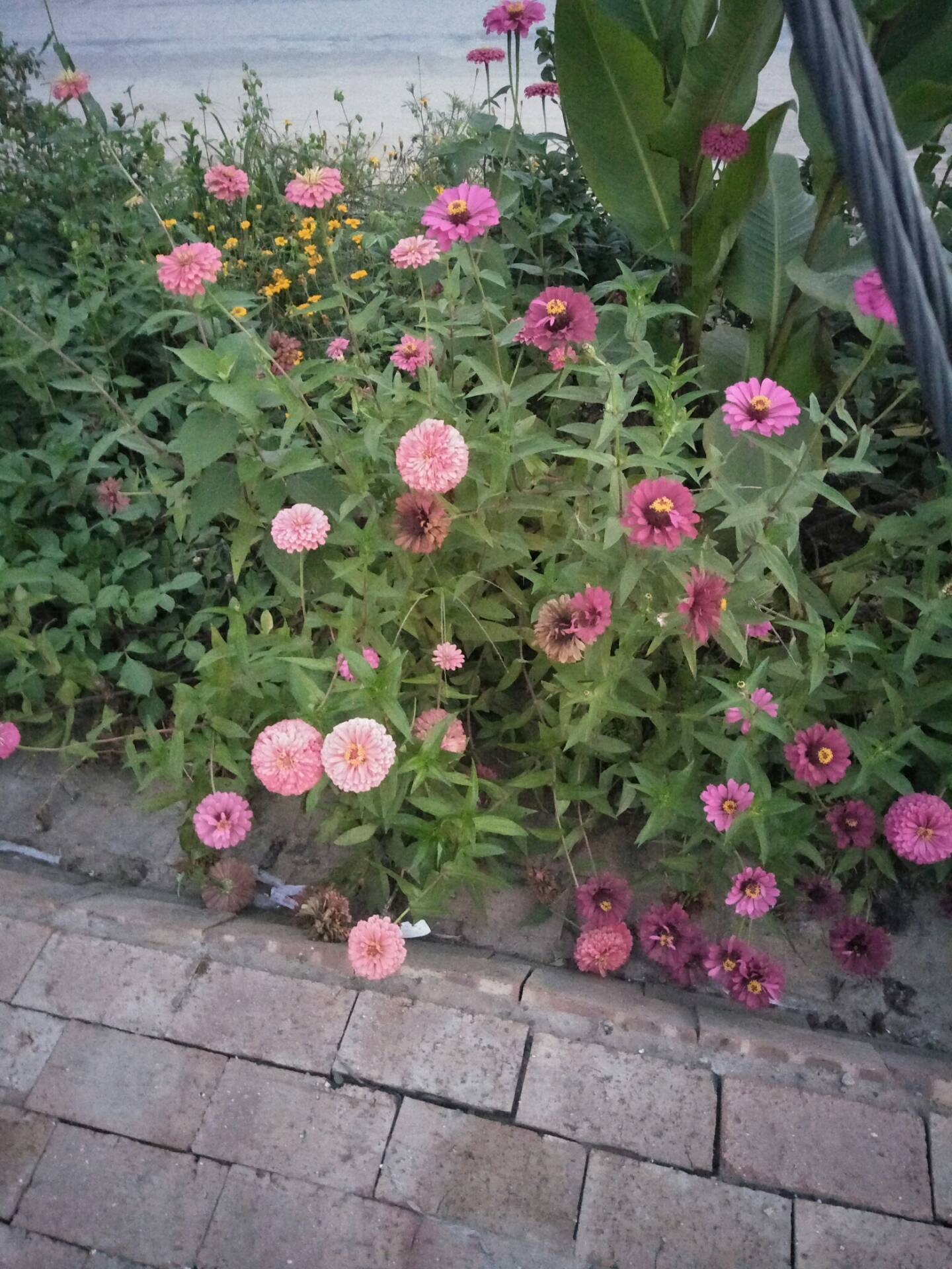 心比天高命比纸薄gderqjyu