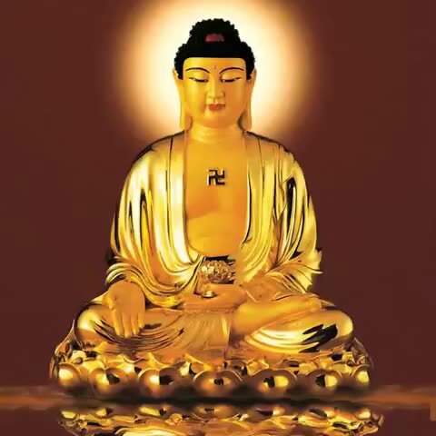 阿弥陀佛保佑您 345        赞        9月前