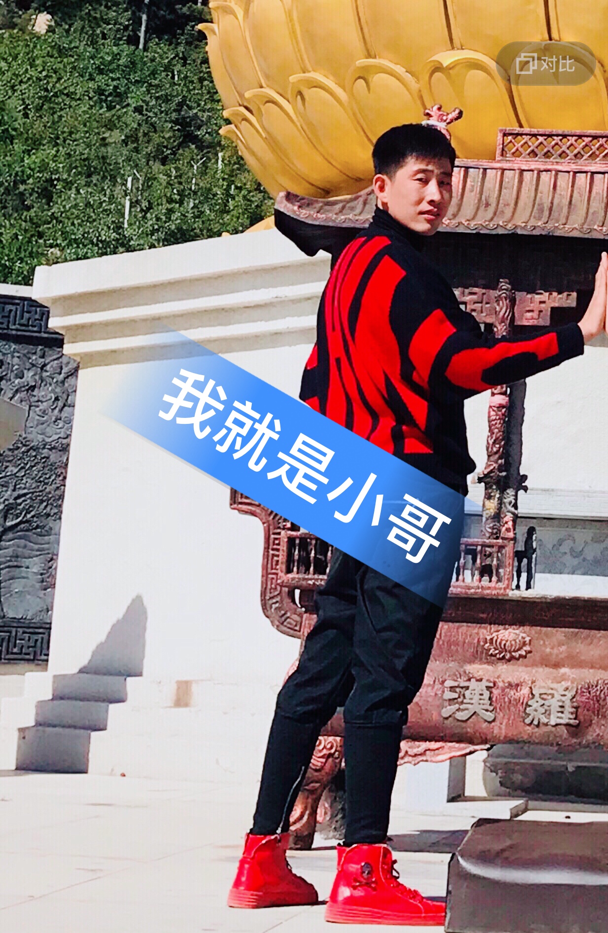 谢谢我的铁粉对我的支持,爱你们…… - 小哥多肉植物的快手