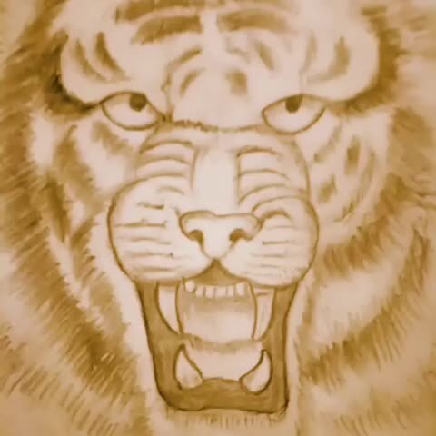 画虎画皮难画骨 401       赞       1年前