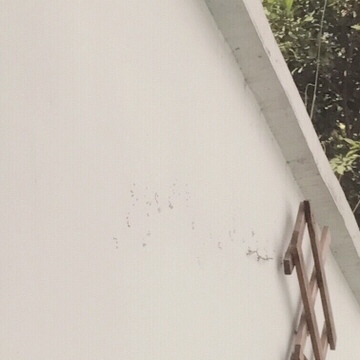 王者荣耀欧儿(刺激战场)主播的主页