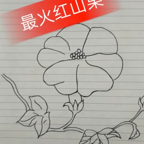 简笔画版红山果 489       赞       4月前
