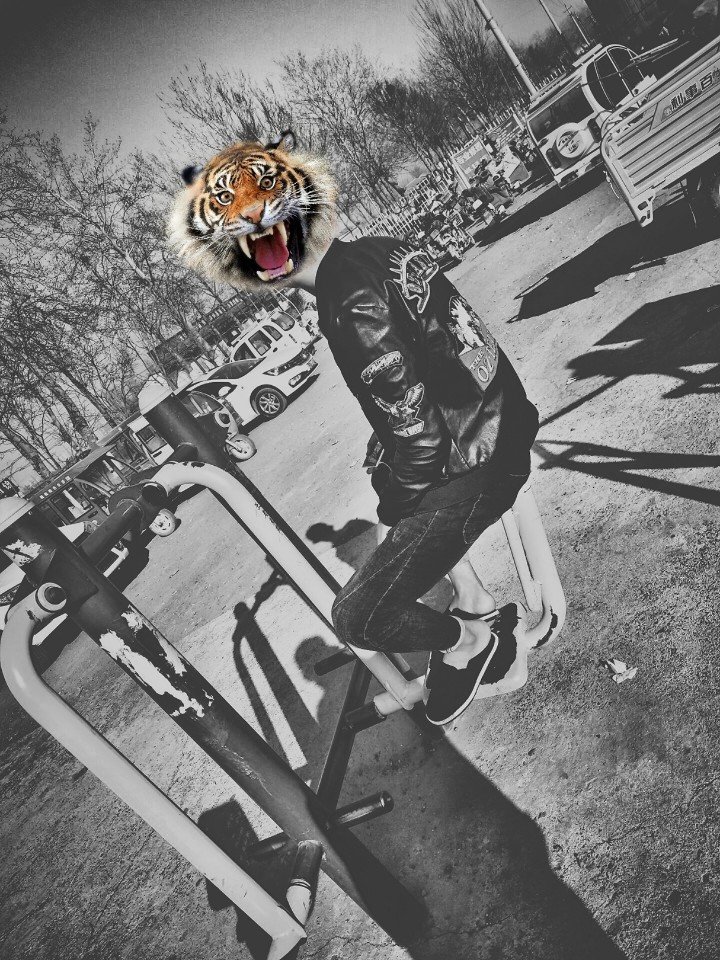 97 大哥 - 金牌苏69815的快手