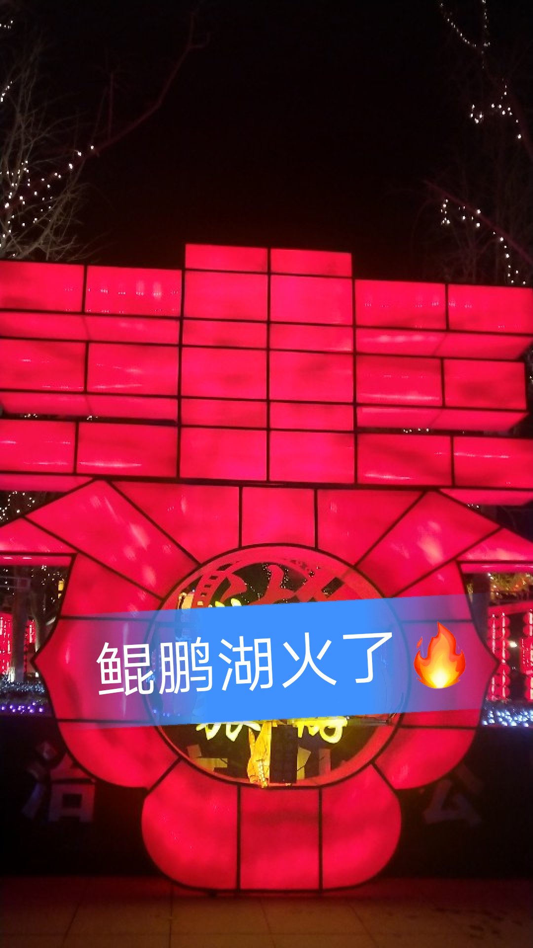 拍摄不易 留下再走吧! 安徽省亳州市蒙城县鲲鹏湖