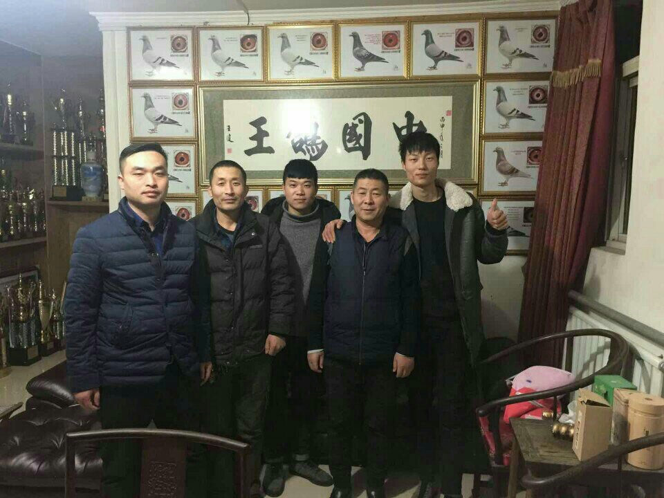 中国宇晨鸽业-王大宇