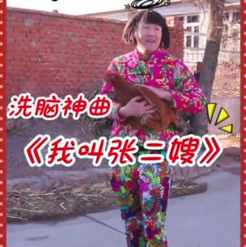 张二嫂家人口号_张二嫂口号字(2)