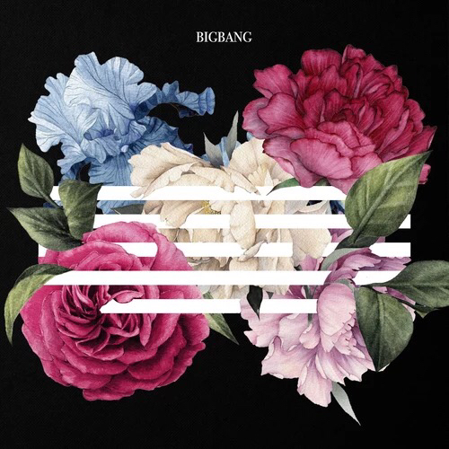 bigbang# 95花开时再会95 - 95 made的快手