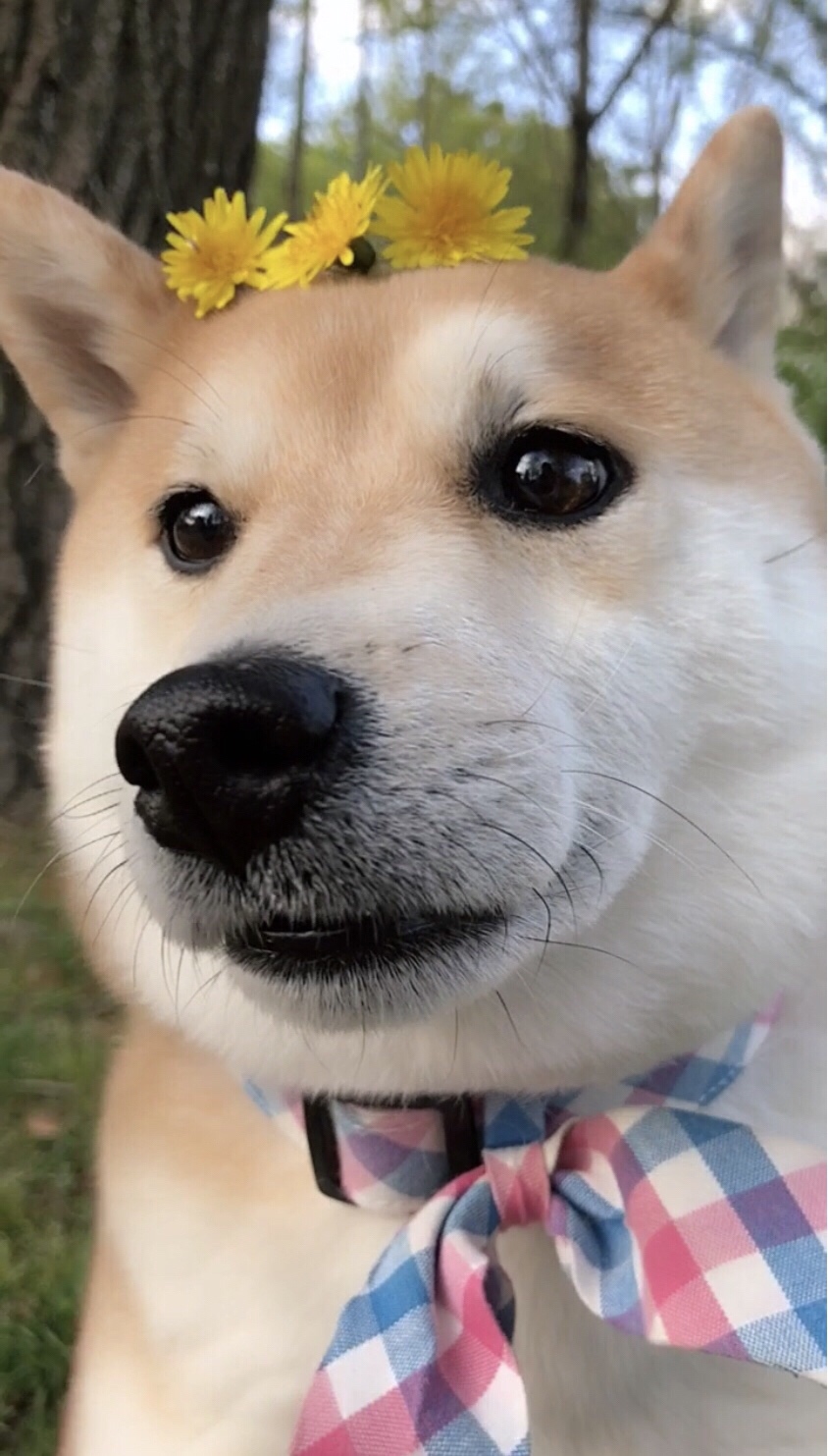 你们截图了吗? 491 3.2k 61.0k 0 眉清目秀的 5月前 歌名?