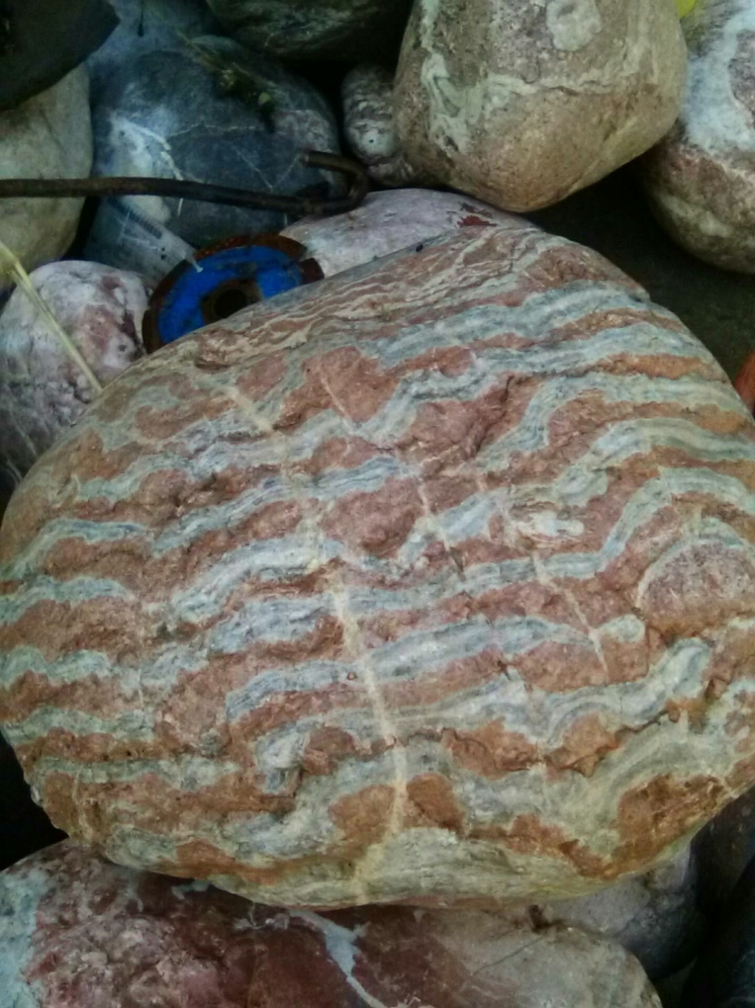 老铁们看看这个石头怎么样,起个名n巴 - 宁河奇石的快手